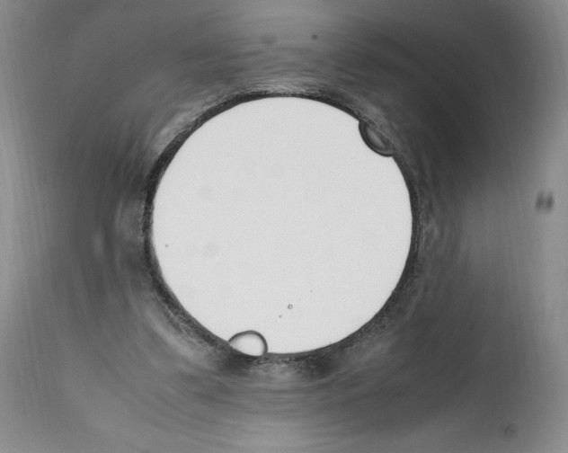 X0000112050299200909151009