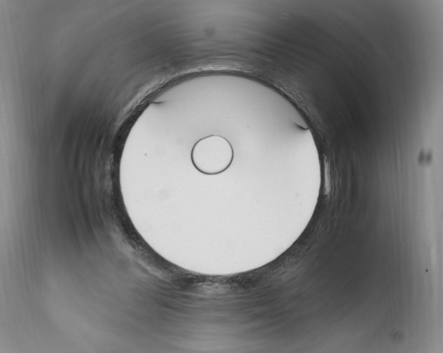 X0000112050300200909151009