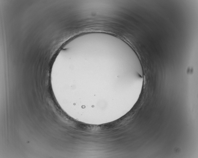 X0000112050301200909151009