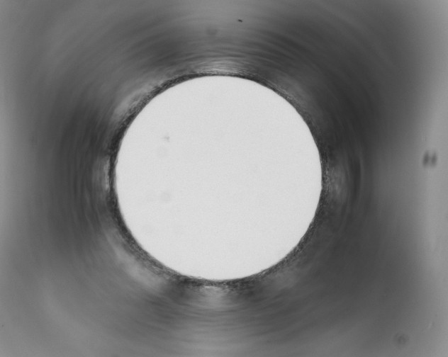 X0000112050302200909151009