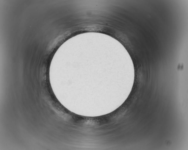 X0000112050303200909151009