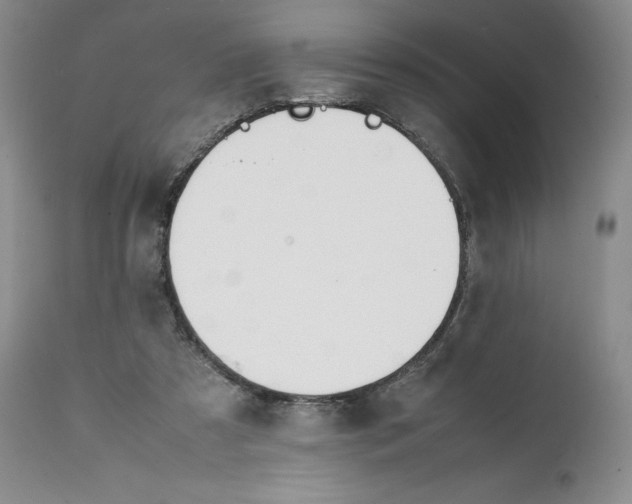 X0000112050305200909151009