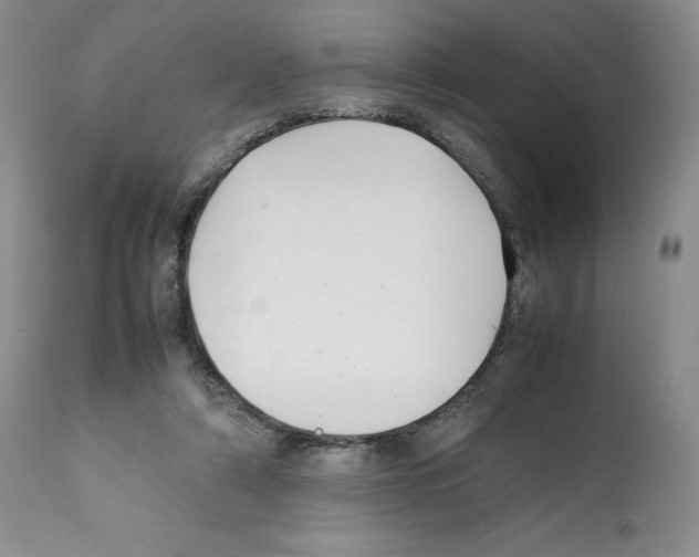 X0000112050306200909151009