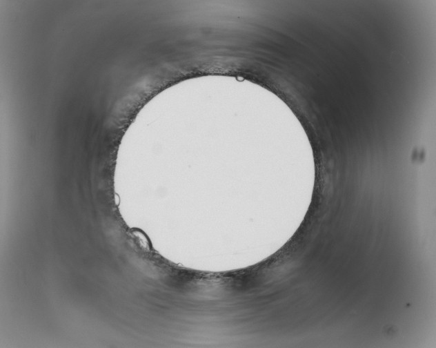 X0000112050307200909151009