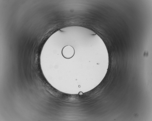 X0000112050308200909151009