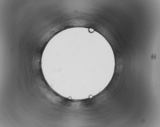 X0000112050309200909151009