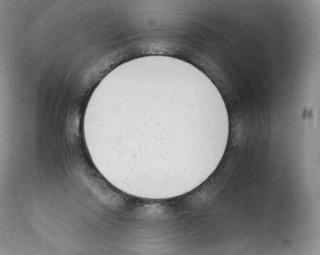 X0000112050310200909151009