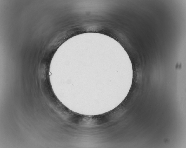 X0000112050311200909151009