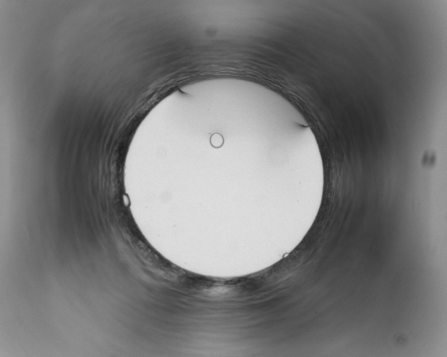 X0000112050312200909151009