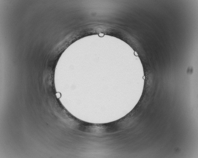 X0000112050313200909151009
