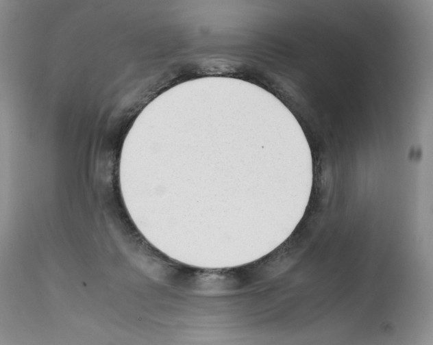X0000112050315200909151009
