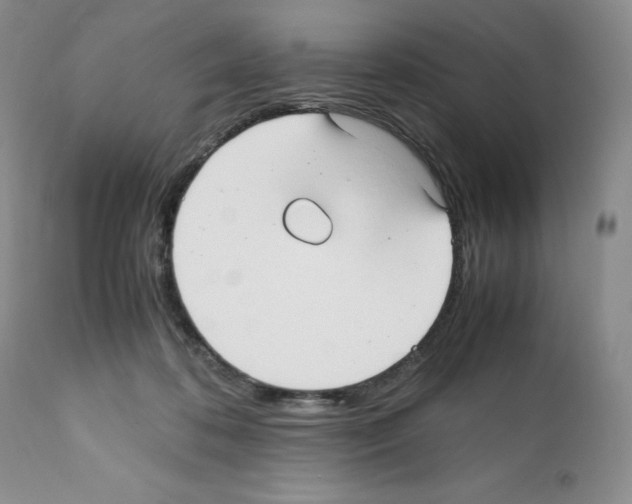 X0000112050316200909151009