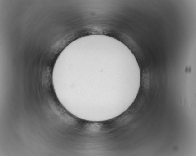 X0000112050318200909151009