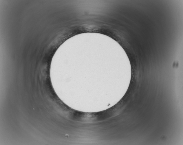 X0000112050319200909151009