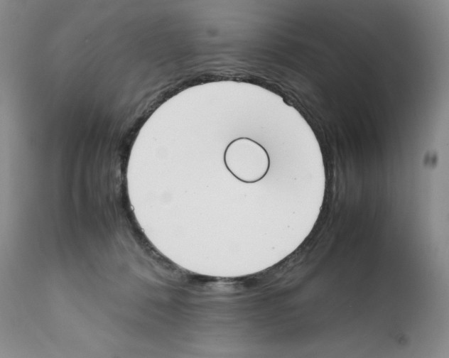 X0000112050320200909151009