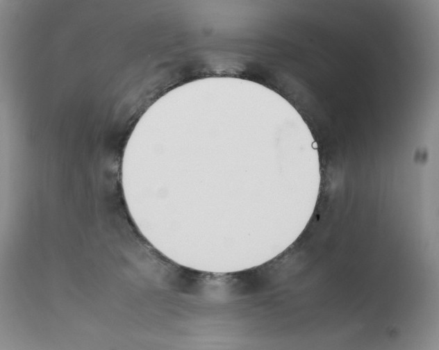 X0000112050321200909151009