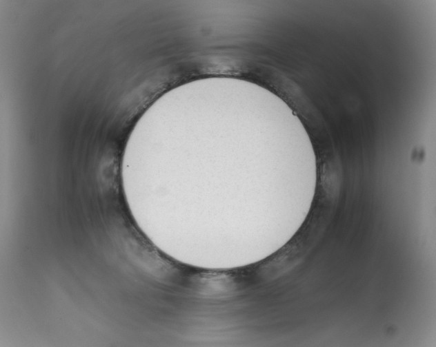 X0000112050322200909151009