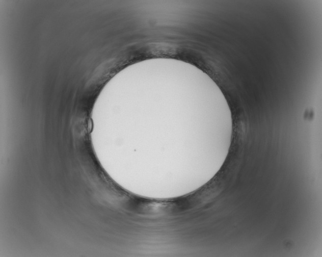 X0000112050323200909151009