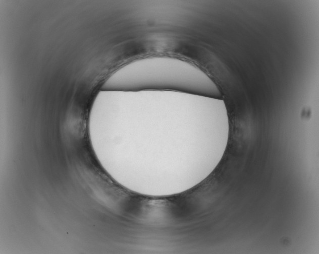 X0000112050324200909151009