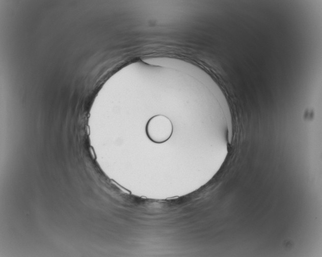 X0000112050325200909151009