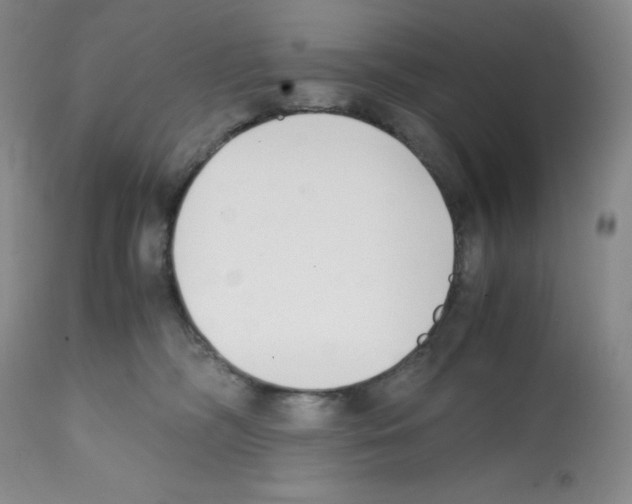 X0000112050326200909151009