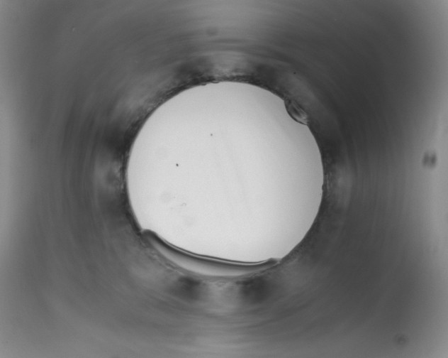 X0000112050327200909151009