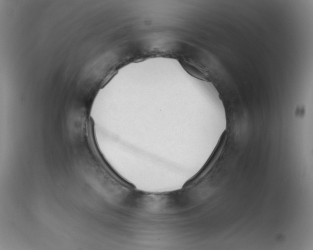 X0000112050328200909151009