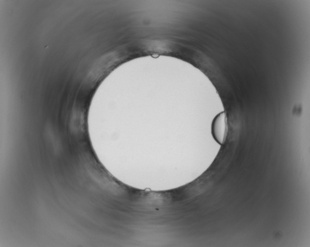 X0000112050330200909151009