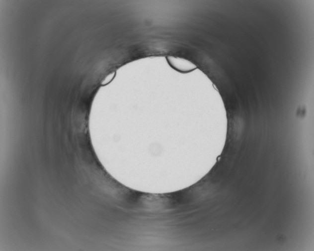 X0000112050331200909151009