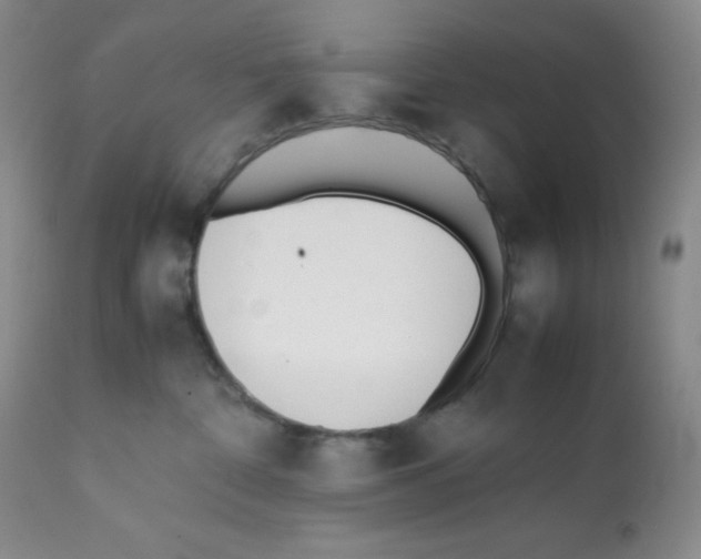 X0000112050332200909151009