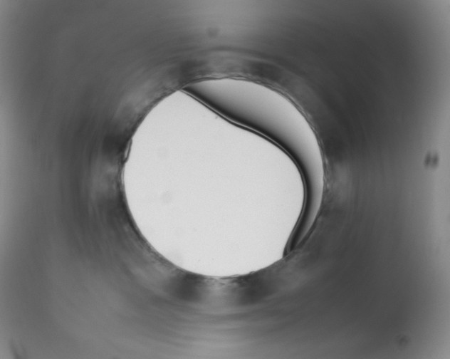 X0000112050333200909151009