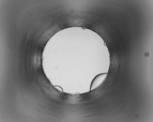X0000112050334200909151009