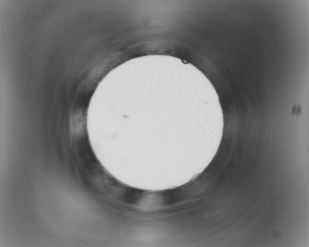 X0000112050335200909151008