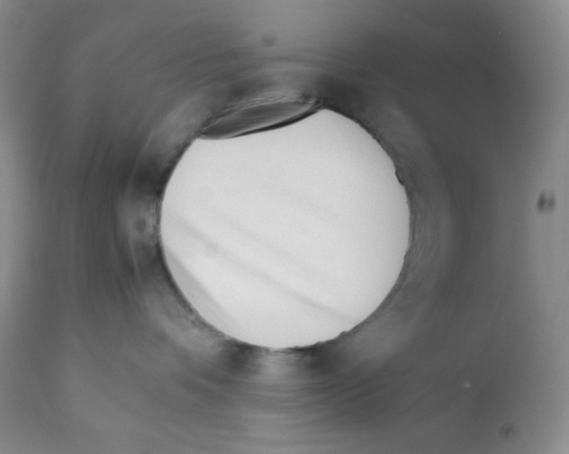 X0000112050336200909151008
