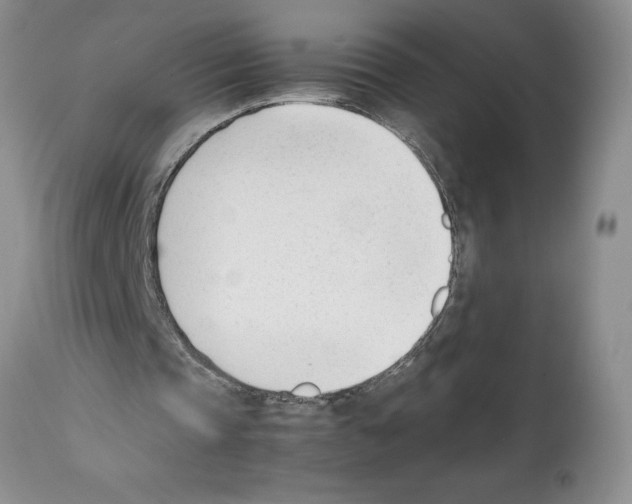 X0000112050337200909151008