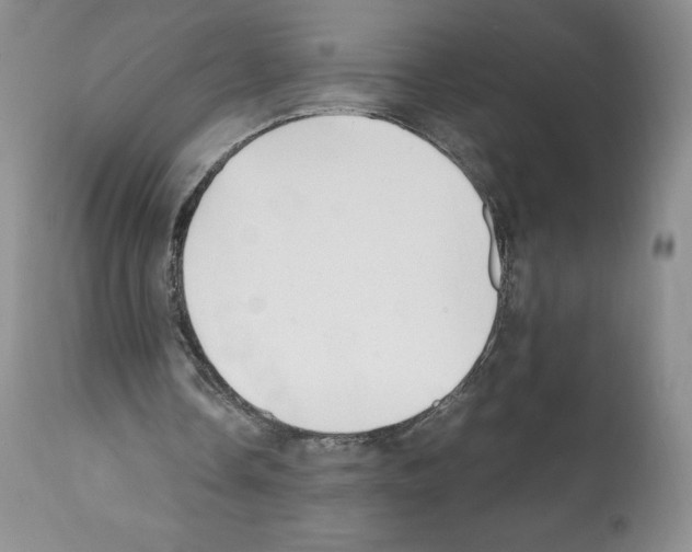 X0000112050338200909151008