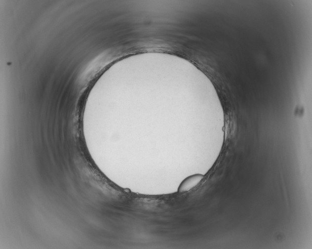X0000112050339200909151008