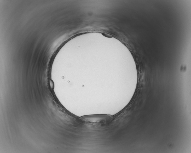 X0000112050340200909151008
