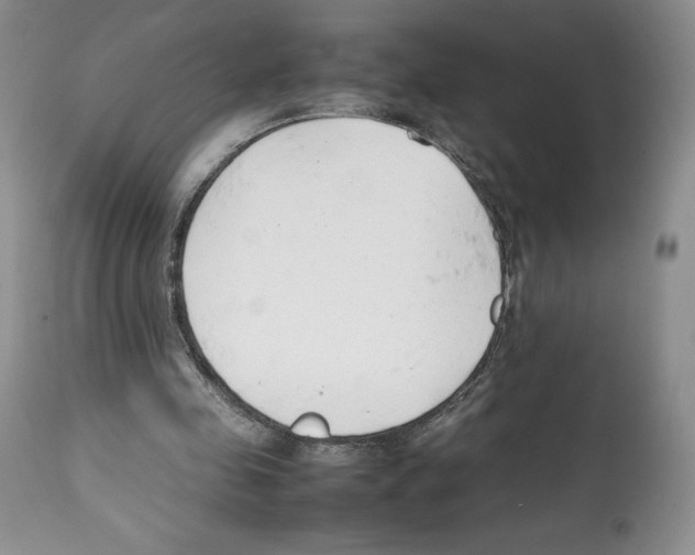 X0000112050341200909151008