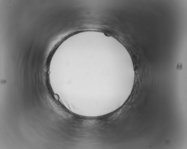 X0000112050342200909151008