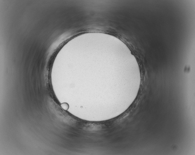 X0000112050343200909151008