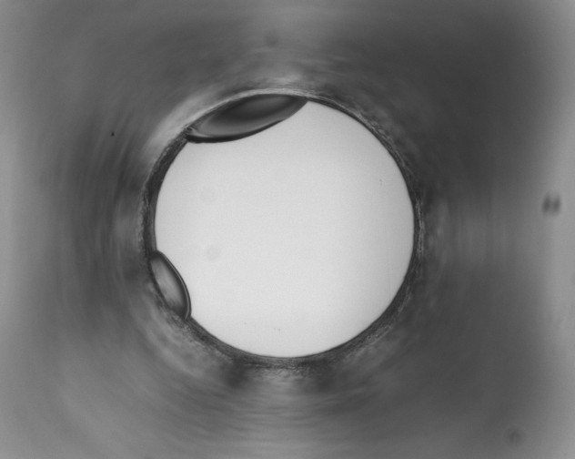 X0000112050344200909151008