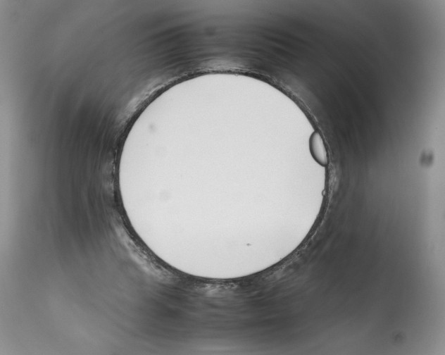 X0000112050345200909151008
