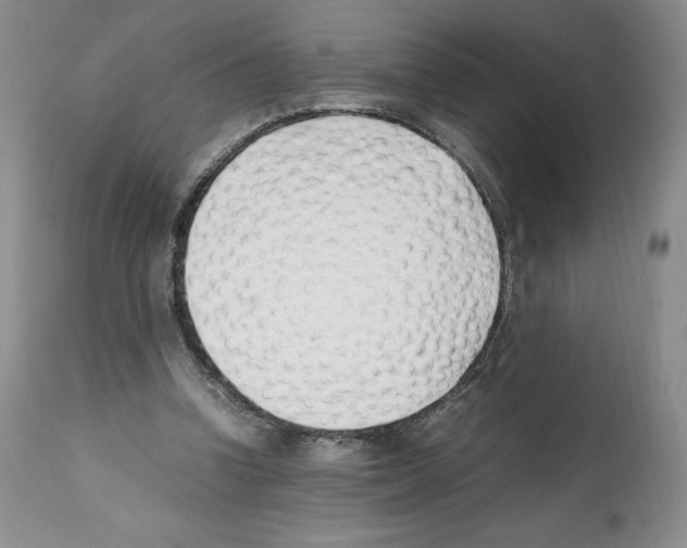 X0000112050346200909151008