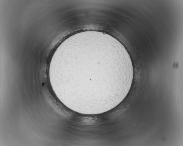 X0000112050347200909151008