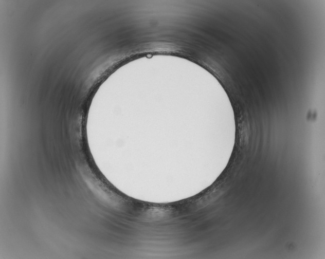 X0000112050350200909151008