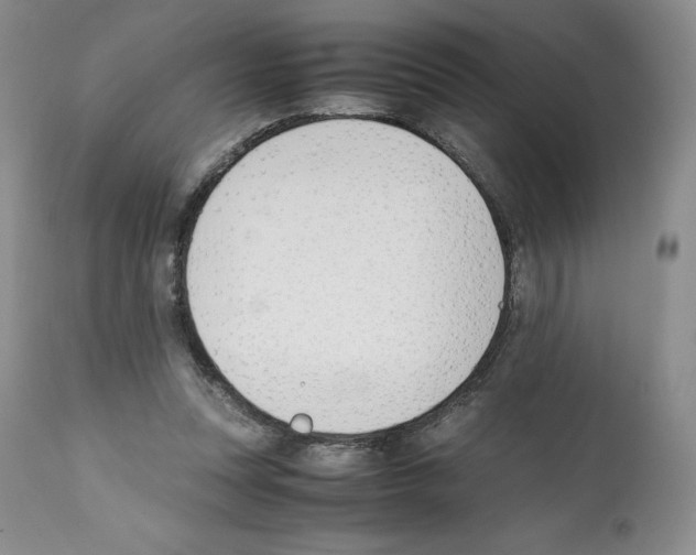 X0000112050351200909151008