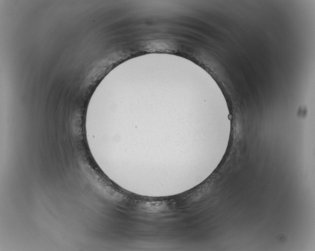 X0000112050353200909151008