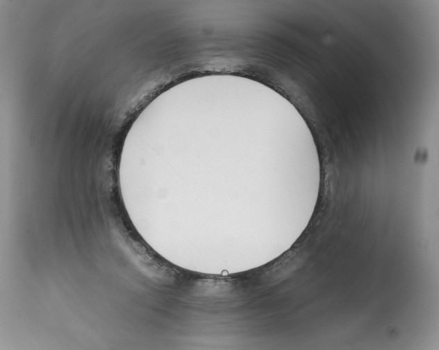 X0000112050354200909151008