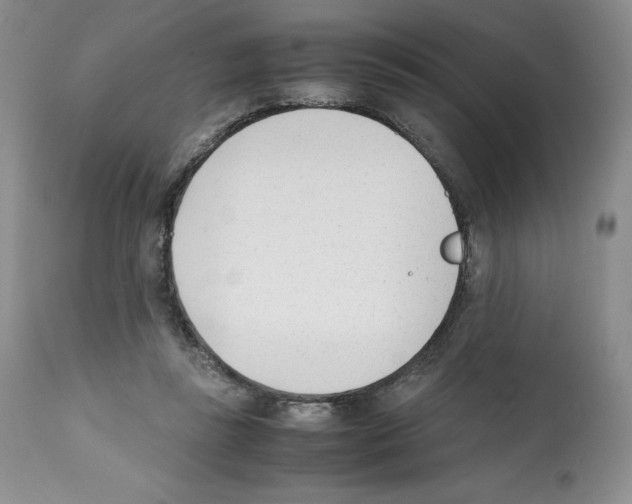 X0000112050355200909151008